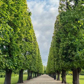 Kongens Have - Landmarks & Historical Buildings Near Me - København K, 84