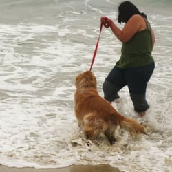 Jojo's In Home Pet Sitting Services - Having fun with Cosmo at the beach