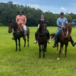 Events, Horses & More
