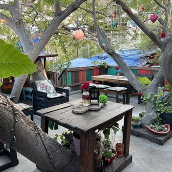 Jo's Garden - Upstairs seating - Sushi Bars Near Me - Cabo San Lucas, BCS Jo's Garden - Upstairs seating - Sushi Bars Near Me - Cabo San Lucas, BCS