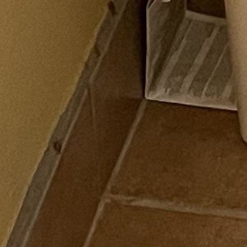 Quality Inn & Suites - Cockroaches in the bathroom - Hotels Near Me - Shawano, Wisconsin Quality Inn & Suites - Cockroaches in the bathroom - Hotels Near Me - Shawano, Wisconsin