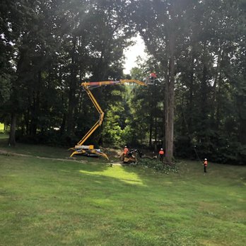 855-Treeman - Tree Services Near Me - Charlotte Hall, Maryland 855-Treeman - Tree Services Near Me - Charlotte Hall, Maryland