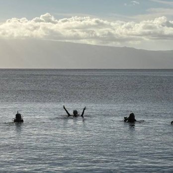 Aloha Maui Diving - Scuba Diving Near Me - Lahaina, Hawaii