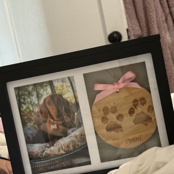 Gentle Journey Pet Cremation - Penni - Pet Cremation Services Near Me Gentle Journey Pet Cremation - Penni - Pet Cremation Services Near Me