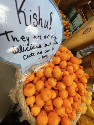 New Moon Natural Foods by null