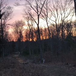 Hawkins Woods - Main path from parking lot at sunset.