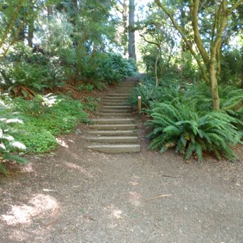 Washington Park Arboretum - Inviting - Parks Near Me - Seattle, Washington Washington Park Arboretum - Inviting - Parks Near Me - Seattle, Washington