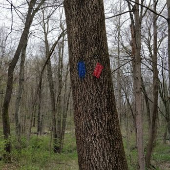 Babcock Preserve - Trails for horseback riding also run through the preserve - Parks Near Me