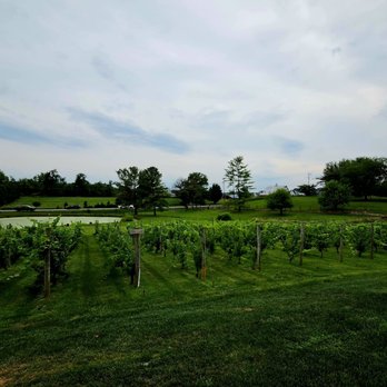 Petit Domaine - Wineries Near Me - Hillsboro, Virginia Petit Domaine - Wineries Near Me - Hillsboro, Virginia