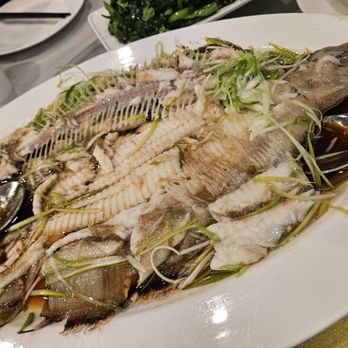Fung's Kitchen - Steamed Flounder - Dim Sum Near Me - Houston, Texas
