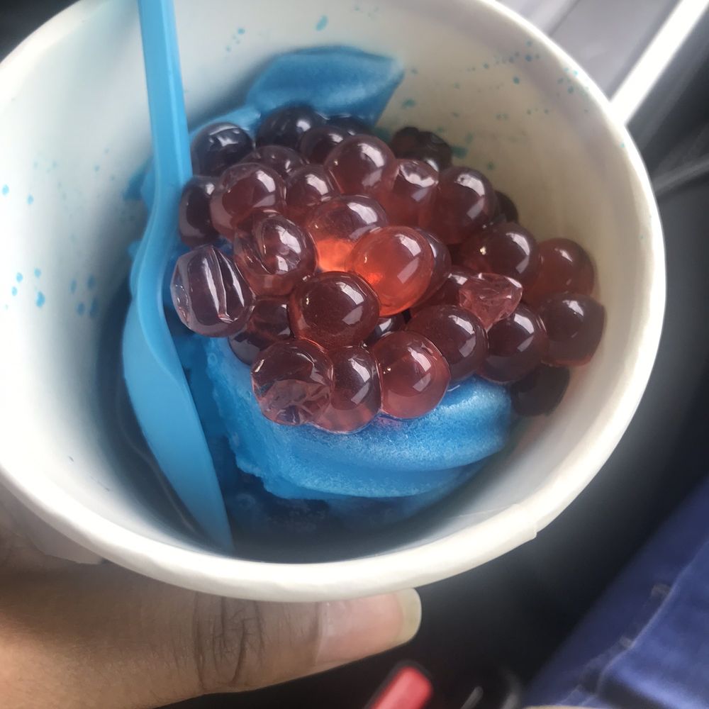 Wild Sugar - Small Italian Ice with 1 Topping - Ice Cream & Frozen Yogurt Near Me - Evans, Georgia Wild Sugar - Small Italian Ice with 1 Topping - Ice Cream & Frozen Yogurt Near Me - Evans, Georgia