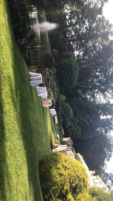 Marcia Selden Catering & Events by null