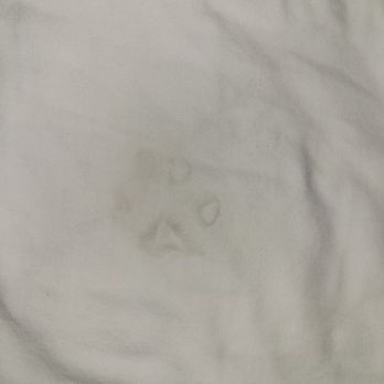 Days Inn by Wyndham Ruston LA - Why the hell is it a f*cking paw print. Nasty @ss people - Hotels Near Me - Ruston, Louisiana Days Inn by Wyndham Ruston LA - Why the hell is it a f*cking paw print. Nasty @ss people - Hotels Near Me - Ruston, Louisiana