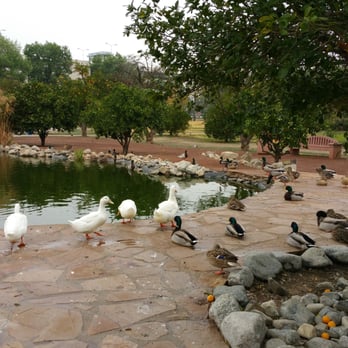 CSUN Pond - Parks Near Me - Los Angeles, California CSUN Pond - Parks Near Me - Los Angeles, California
