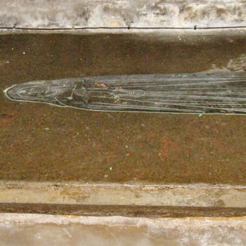 All Saints Church Holbeach - Churches Near Me - Spalding, LIN