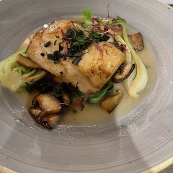 Basalt - Miso Black Cod - New American Near Me - Honolulu, Hawaii Basalt - Miso Black Cod - New American Near Me - Honolulu, Hawaii