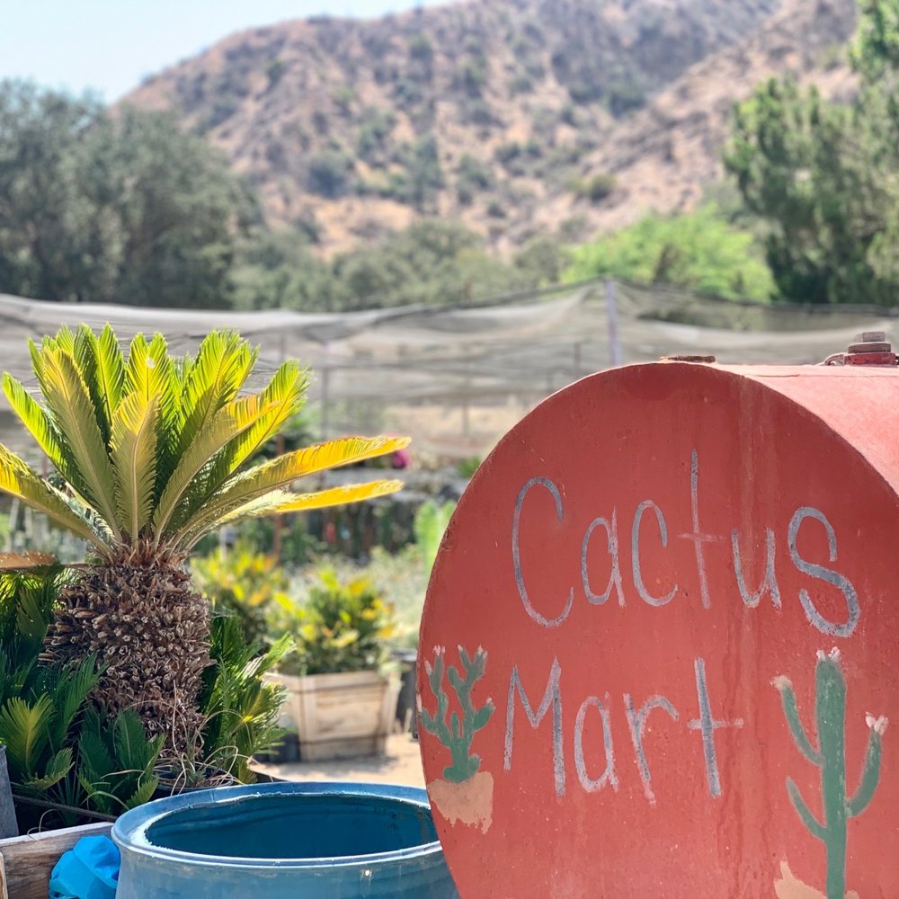 Sal’s Cactus Mart - Sal's Cactus Mart - Nurseries & Gardening Near Me - Fillmore, California Sal’s Cactus Mart - Sal's Cactus Mart - Nurseries & Gardening Near Me - Fillmore, California