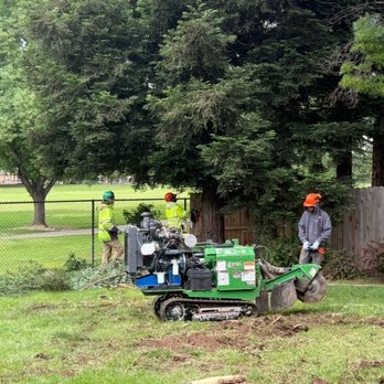Titan Tree Service - Tree Services Near Me - Sacramento, California Titan Tree Service - Tree Services Near Me - Sacramento, California