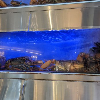 Mr Congee Chinese Cuisine - Live seafood at the entrance. - Chinese Near Me - Scarborough, Ontario Mr Congee Chinese Cuisine - Live seafood at the entrance. - Chinese Near Me - Scarborough, Ontario