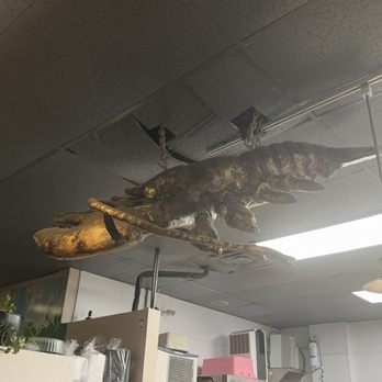 Absolutely Fresh Seafood Market - Seafood Markets Near Me - Omaha, Nebraska Absolutely Fresh Seafood Market - Seafood Markets Near Me - Omaha, Nebraska