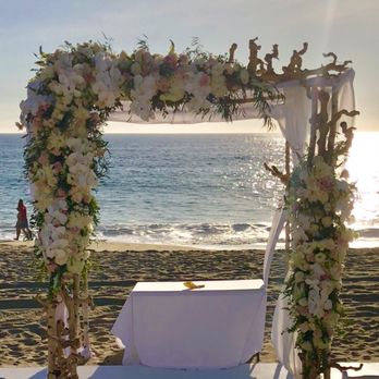 Blossom Floral - Florists Near Me - Santa Monica, California