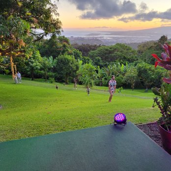 Experience Nutridge - Performing Arts Near Me - Honolulu, Hawaii