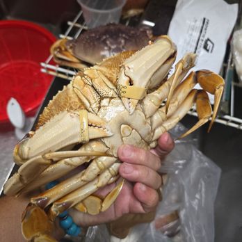 Hong Kong Island Cafe - Typhoon Shelter Style Fried Crab - Hong Kong Style Cafe Near Me - Honolulu, Hawaii Hong Kong Island Cafe - Typhoon Shelter Style Fried Crab - Hong Kong Style Cafe Near Me - Honolulu, Hawaii