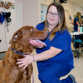 Veterinary Emergency Services - Veterinarians Near Me - Verona, Virginia
