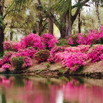 Mepkin Abbey - Churches Near Me - Moncks Corner, South Carolina