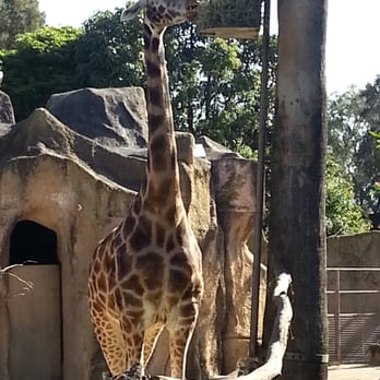 Melbourne Zoo - Zoos Near Me - Melbourne, VIC