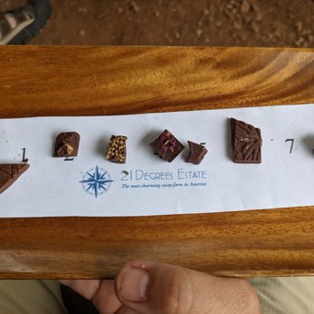 21 Degrees Estate - Chocolate tasting samples from 4/28/21. - Tours Near Me - Kaneohe, Hawaii 21 Degrees Estate - Chocolate tasting samples from 4/28/21. - Tours Near Me - Kaneohe, Hawaii