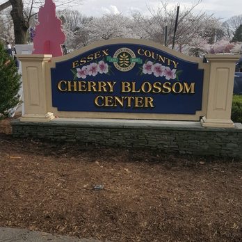 Branch Brook Park - Where many cherry blossoms can be seen - Parks Near Me - Newark, New Jersey