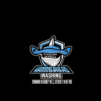 Hammerhead Washing - Pressure Washers Near Me Hammerhead Washing - Pressure Washers Near Me
