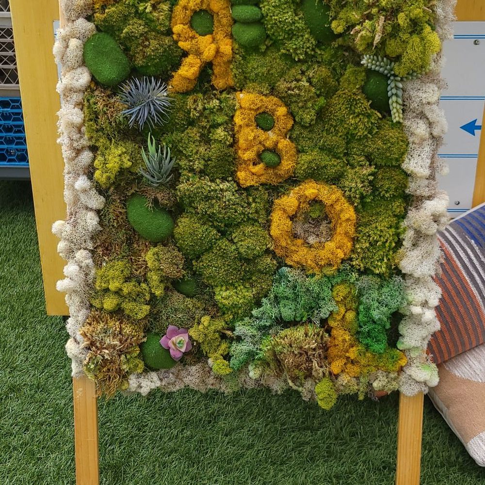 Arbol Eatery - Cafes Near Me - Charlotte, North Carolina Arbol Eatery - Cafes Near Me - Charlotte, North Carolina