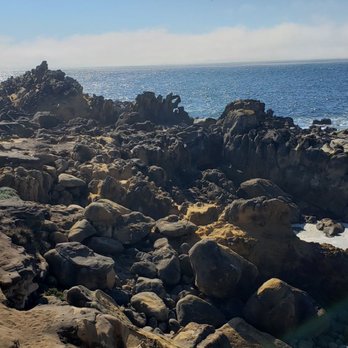 Salt Point State Park - Parks Near Me - Jenner, California