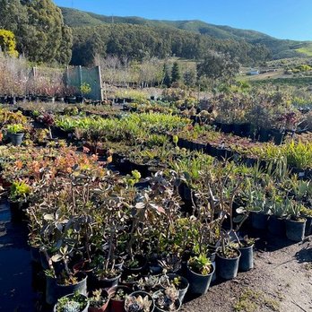 Pacific Nurseries - Nurseries & Gardening Near Me - Colma, California