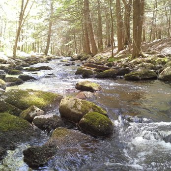 Stokes State Forest - Big Flat Brook next to our campsite - Hiking Near Me - Branchville, New Jersey