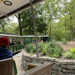 Tram ride Tram ride
