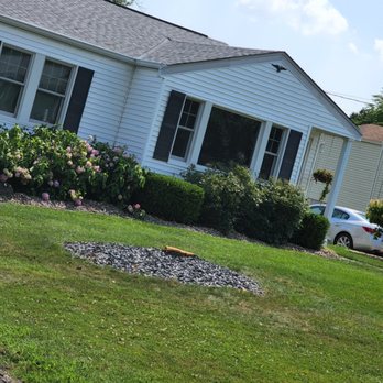 Wrightway Lawn & Landscaping - Bright day - Tree Services Near Me Wrightway Lawn & Landscaping - Bright day - Tree Services Near Me