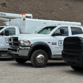 Tripoli Tree Care - Tree Services Near Me - Pittsburgh, Pennsylvania