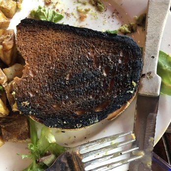 Queens Bully - Burnt avocado toast - Gastropubs Near Me - Forest Hills, New York Queens Bully - Burnt avocado toast - Gastropubs Near Me - Forest Hills, New York