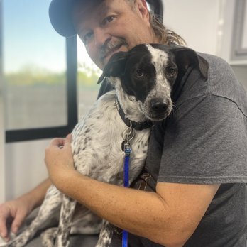 Sudz Up Grooming - Pet Groomers Near Me - Anthem, Arizona Sudz Up Grooming - Pet Groomers Near Me - Anthem, Arizona