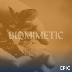 Epic Dentistry - Biomimetic = less trauma to the tooth, fewer root canals and extractions, and longer-lasting results that honor your natural smile.