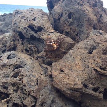 Playa Paraiso - Hello there, little fella - Beaches Near Me