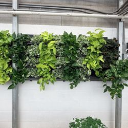 Garden Bar