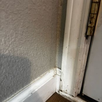 Tx5starcleaning - Trim of back door after cleaning cobwebs. - Home Cleaning Near Me