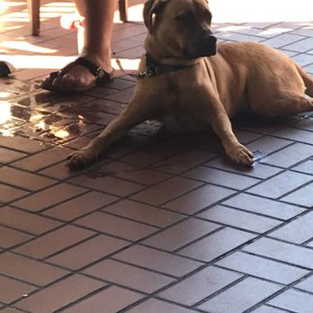 Pointe Orlando - Dog friendly in the outdoor area of Miller's - Sports Bars Near Me - Orlando, Florida Pointe Orlando - Dog friendly in the outdoor area of Miller's - Sports Bars Near Me - Orlando, Florida