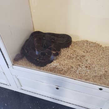 EcoVivarium - Snaaaaaakes - Museums Near Me - Escondido, California EcoVivarium - Snaaaaaakes - Museums Near Me - Escondido, California