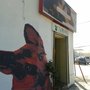 Photo of Outlet Mascota