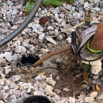Drain Bears - Plumbing Near Me - Las Vegas, Nevada Drain Bears - Plumbing Near Me - Las Vegas, Nevada
